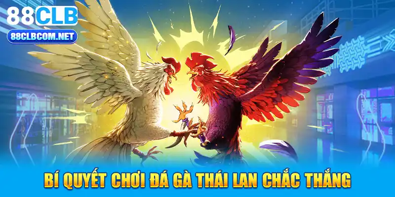 Bí quyết chơi đá gà Thái Lan chắc thắng