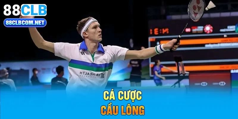 cá cược cầu lông