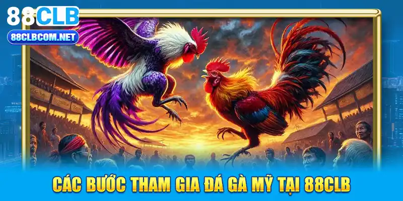 Các bước tham gia đá gà Mỹ tại 88CLB