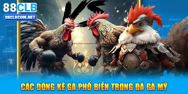 Các dòng kê gà phổ biến trong đá gà Mỹ