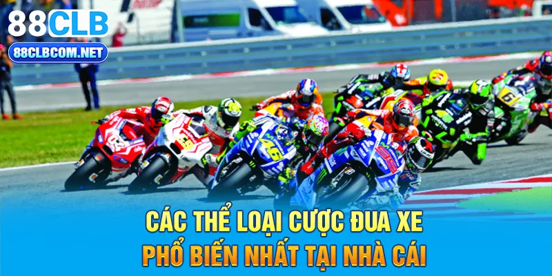 Các thể loại cược đua xe phổ biến nhất tại nhà cái