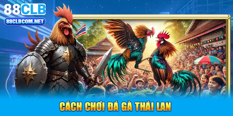 Cách chơi đá gà Thái Lan 