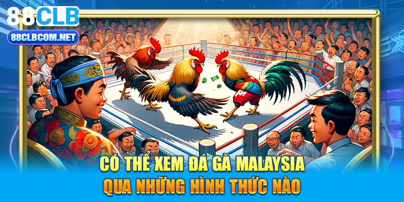 Có thể xem đá gà Malaysia qua những hình thức nào