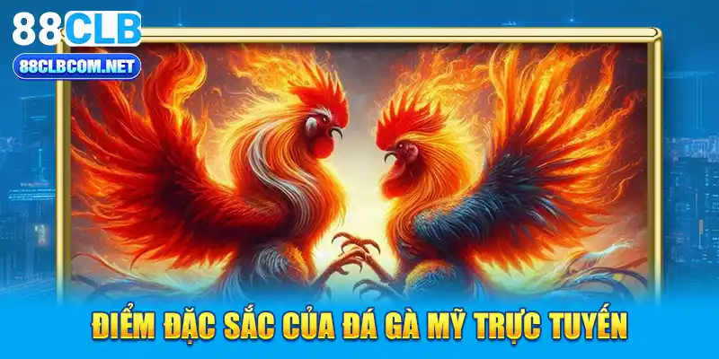 Điểm đặc sắc của Đá Gà Mỹ trực tuyến