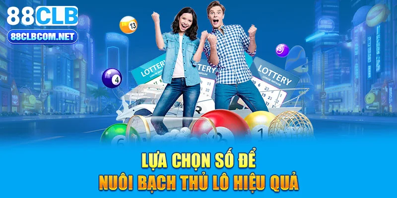 Lựa chọn số để nuôi bạch thủ lô hiệu quả