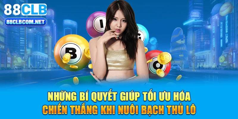 Những bí quyết giúp tối ưu hóa chiến thắng khi nuôi bạch thủ lô