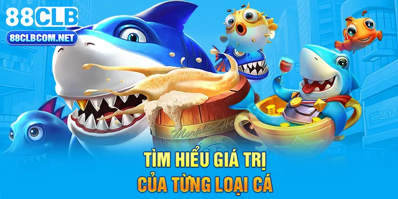 Tìm hiểu giá trị của từng loại cá