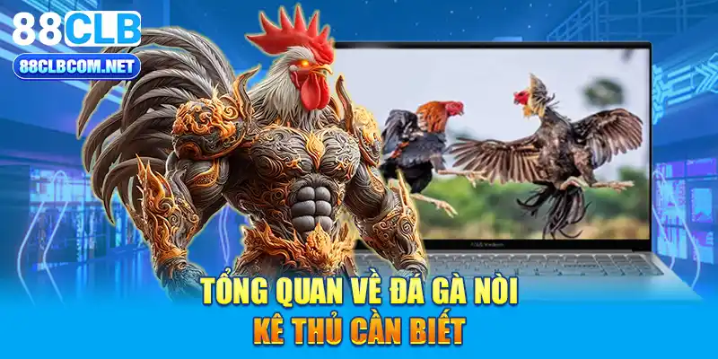 Tổng quan về đá gà nòi kê thủ cần biết